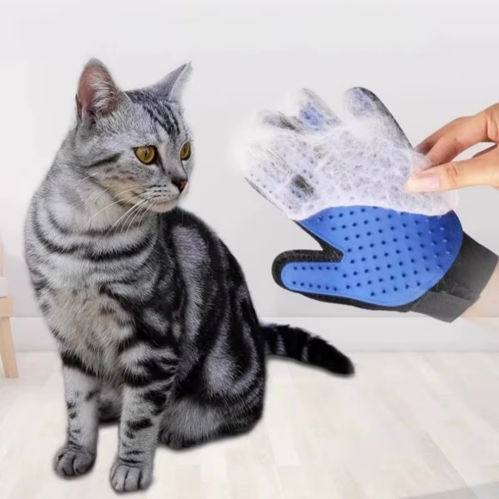 Gato de estimação cão aliciame - Rubber Glove Cleaning avaliação e preço