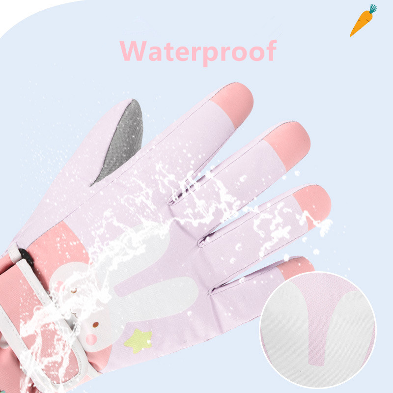 Luvas de esqui de neve de inve - Winter Glove Insulated avaliação e preço