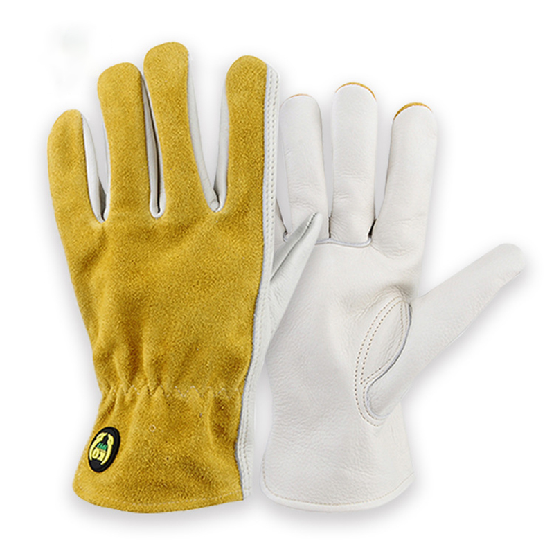 Caminhão respirável da prova d - Leather Driving Glove avaliação e preço